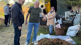 Seydişehir’de Bir İlk! Dört Çeşit Tatlı Patatesin Hasadı Yapıldı