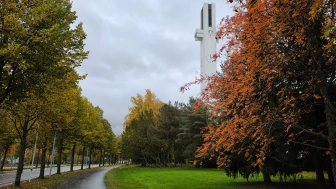 Finlandiya’da sonbahar renkleri büyüledi: Ormanlar ve göller görsel şölen sundu