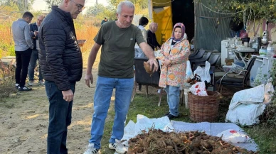 Seydişehir’de Bir İlk! Dört Çeşit Tatlı Patatesin Hasadı Yapıldı