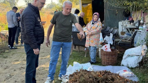 Seydişehir’de Bir İlk! Dört Çeşit Tatlı Patatesin Hasadı Yapıldı